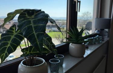 Emelies Sonnenwohnung mit Balkon - Foto 30