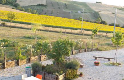 Il Casale Dei Ciliegi - Photo 11