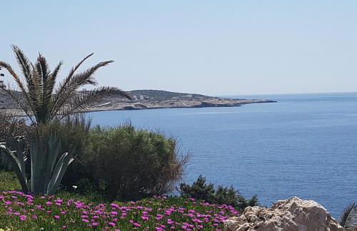 Akrogiali studios - Photo 16