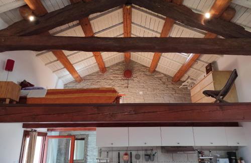 Porcaticcio - Foto 49