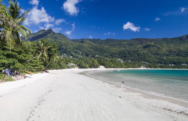 Beau Bamboo - Foto 61