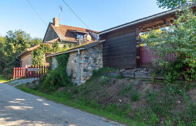 Marguerite - Photo 21