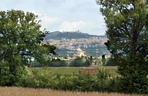 Agriturismo Bellarosa - Photo 43