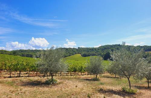 Les Saffres - gîte de charme pour 8 personnes - Foto 28
