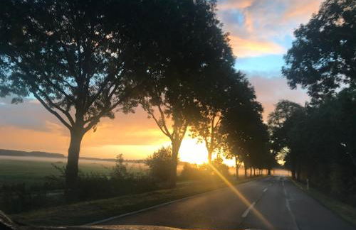Ferienwohnung in Breiholz zwischen den Meeren, am Nordostseekanal - Foto 18