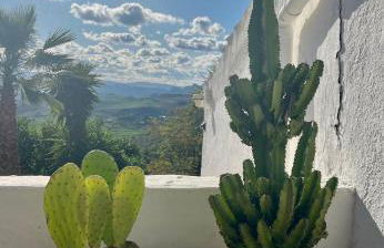 Finca El Sueño Andaluz - Foto 38