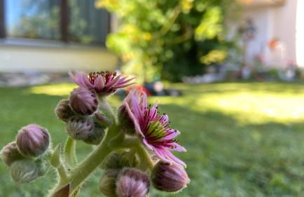 Stilvolle Wohnung in idyllischer Lage - Foto 24