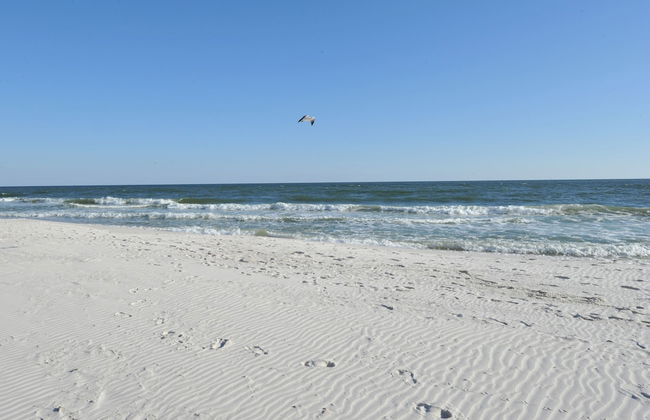 San Carlos Condominiums by Wyndham Vacation Rentals - Foto 35