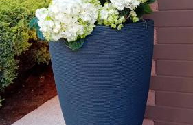 Willa Aleksandra - Photo 8