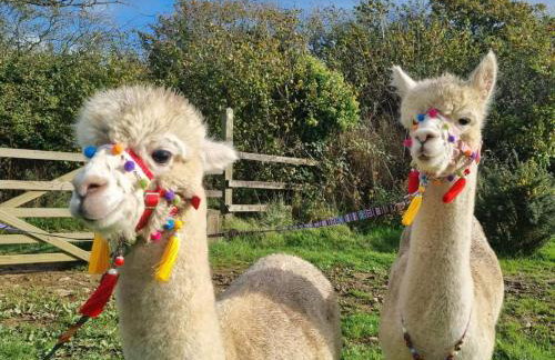 2 Bed in Umberleigh oc-78303 - Photo 23