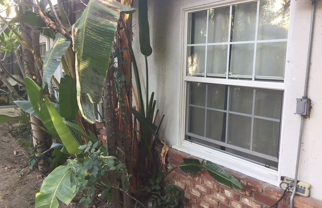 Comfortable Beverly Hills Town House - Foto 16