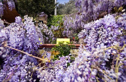 Il Nido a Portovenere - Foto 42