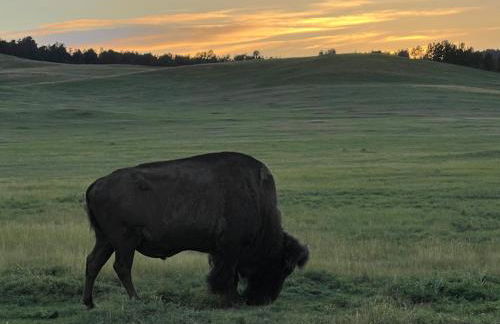 Angostura Oasis - Foto 22