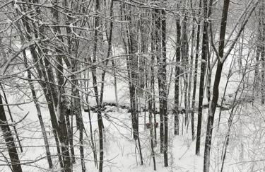 Glens of Antrim Mountain Cabin - Foto 23