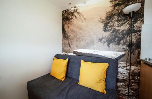 Canastro do Vidoeiro - Foto 13