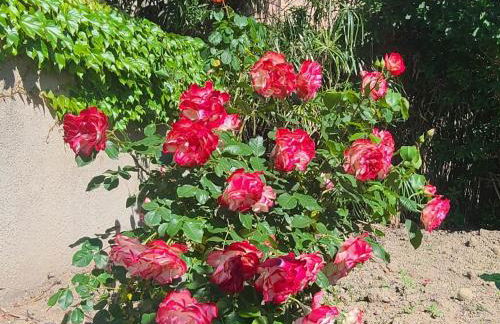 Via Cursia 1 Espace Détente - Foto 18