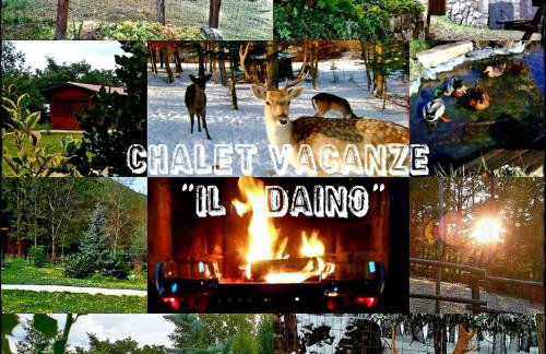 Chalet Vacanze Il Daino - Foto 1