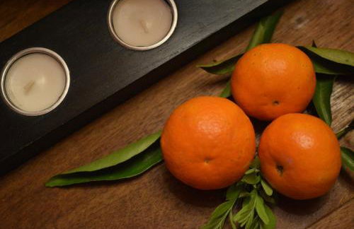 Herdade Reguenguinho - Foto 19