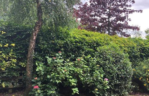 Rhubarb Cottage - Foto 9