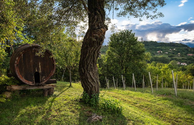 Agriturismo Le Spezie - Foto 40