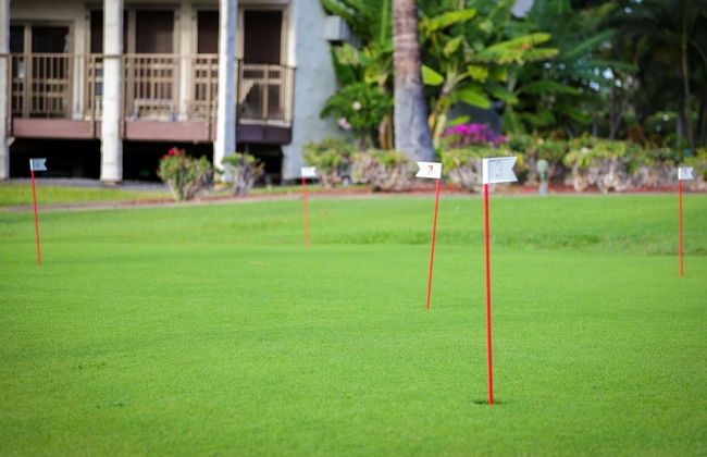 Aston Maui Hill - Photo 67