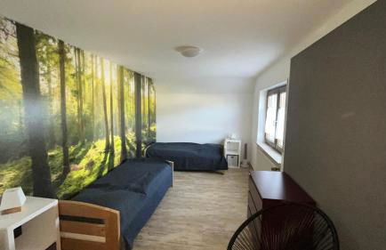 Ferienappartement Grüner Elch - Foto 10