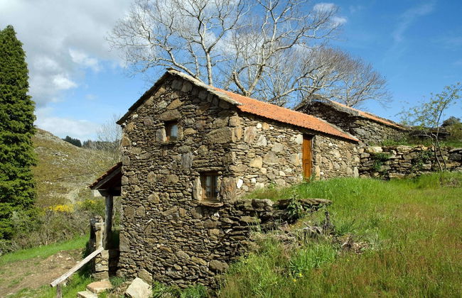 Branda da Aveleira - Foto 35