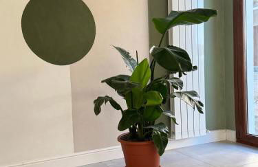 Il Cortile del Borgo - Foto 20