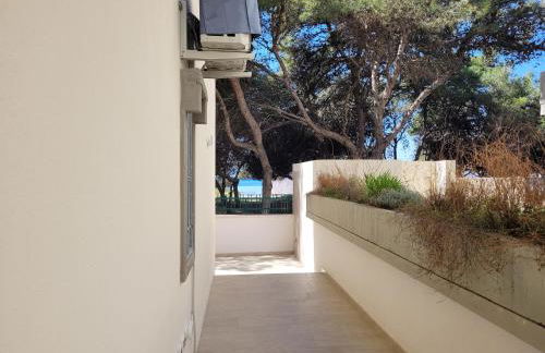 FRONTE PINETA MARE RIVABELLA - Foto 13