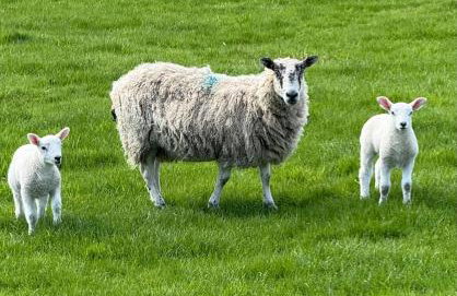 Turnpike House - Foto 76