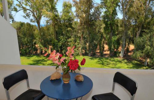 Sani Kasimis - Foto 37