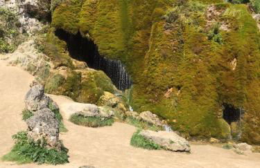 FeWo Sonnenblume mit sauna - Photo 29