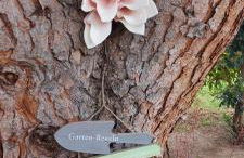 Pfalz-Apartment Mein Chalet - Einzigartig in Großkarlbach - Foto 37