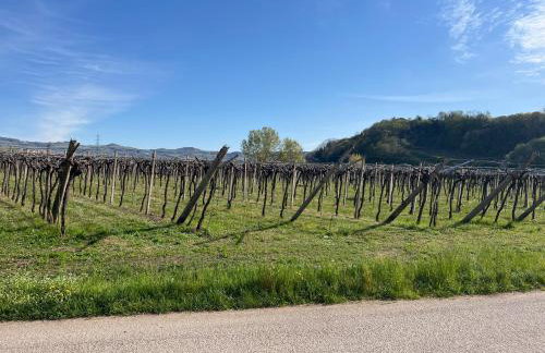 Agriturismo Corte Cea - Foto 17