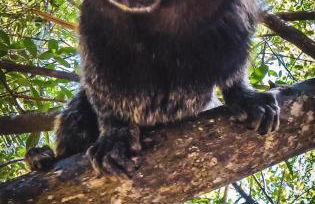 Villa da Apa - Foto 9