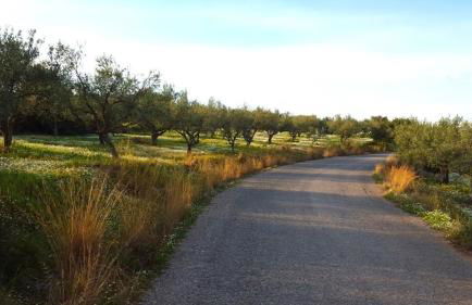 Villa Olympia - Foto 11