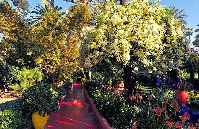 "Jardín Majorelle y Palmeraie en quad: aventura en Marrakech" - Foto 6