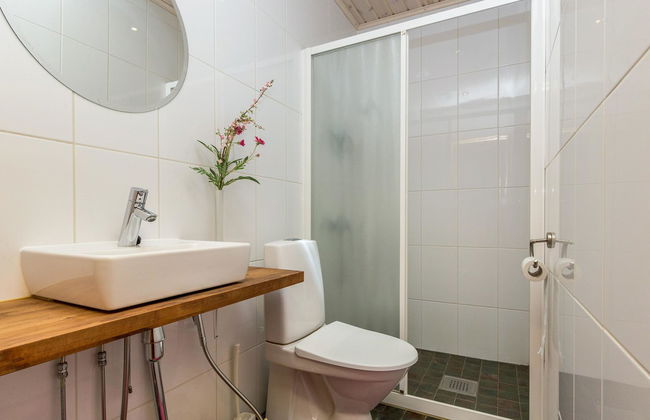 Koivuniemen rouva - Foto 20