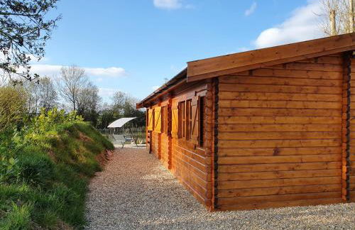 Kingfisher Cabin - Foto 20