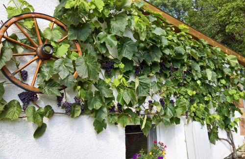 Ferienhaus Manoury am Klosterbrunnen - Foto 20