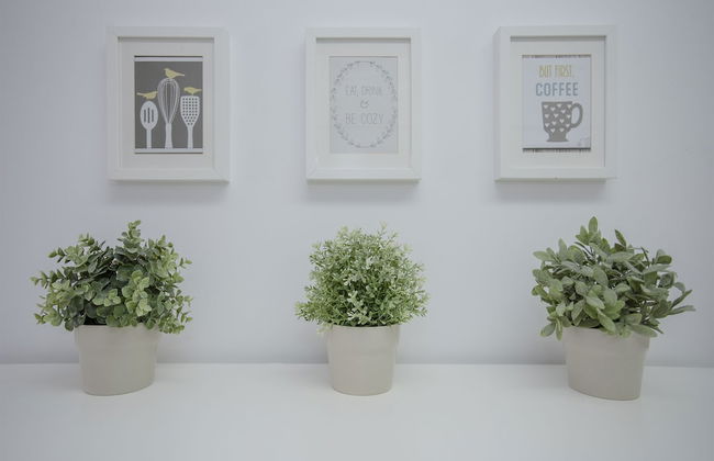 Liiiving in Porto - Balcony Dragão View - Foto 49