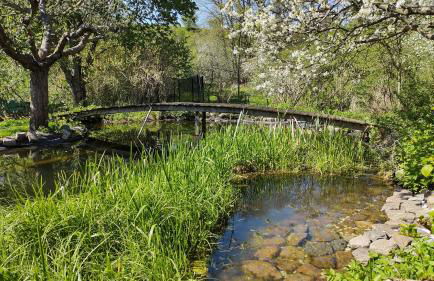 Große Ferienwohnung in Peetzig am See - Foto 46