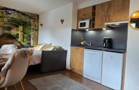 Studio Edelweiss proche Megeve - Foto 17
