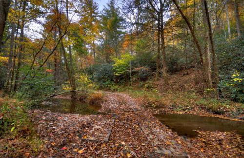 Castle Creek Hot tub nearby creek gas fireplace - Foto 36