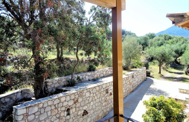 Menina Farm - Photo 53