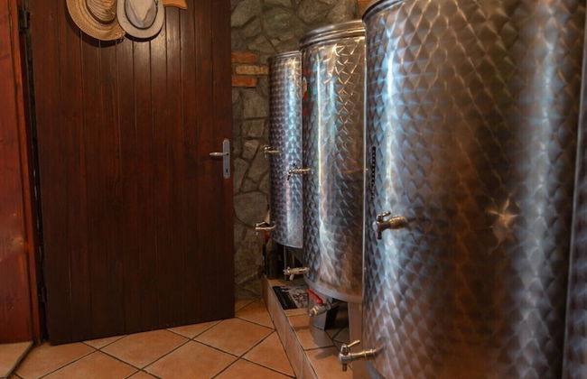 Vineyard Cottage Hocevar - Foto 16