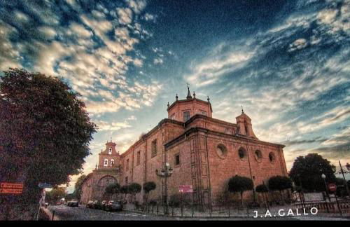 Garnacha Tinta VT-LR-2179 - Photo 43