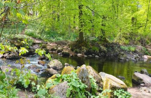 Ferienhaus mit Wellnessbereich in Elend - Foto 36
