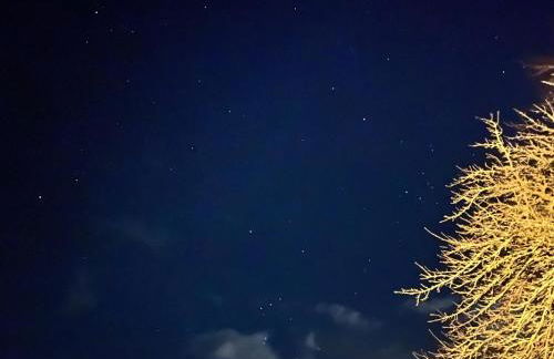 Waldweg 33 - Foto 12