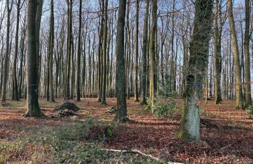 Ferienwohnung in Bissendorf - Foto 63
